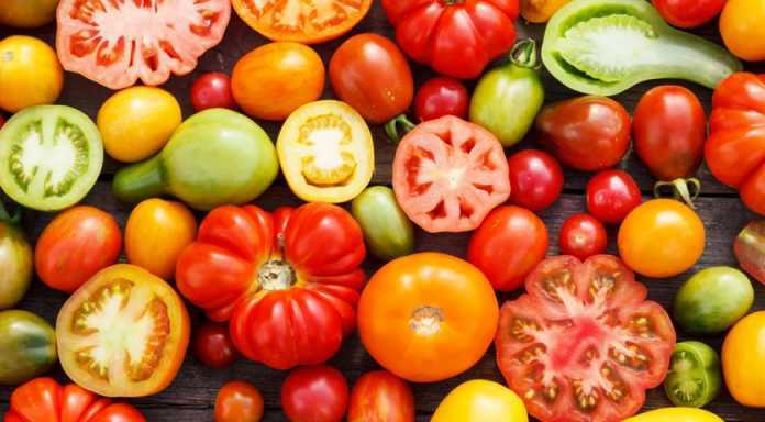 Hayrat: Pomidor tamaki chekishni tashlashda yordam beradi