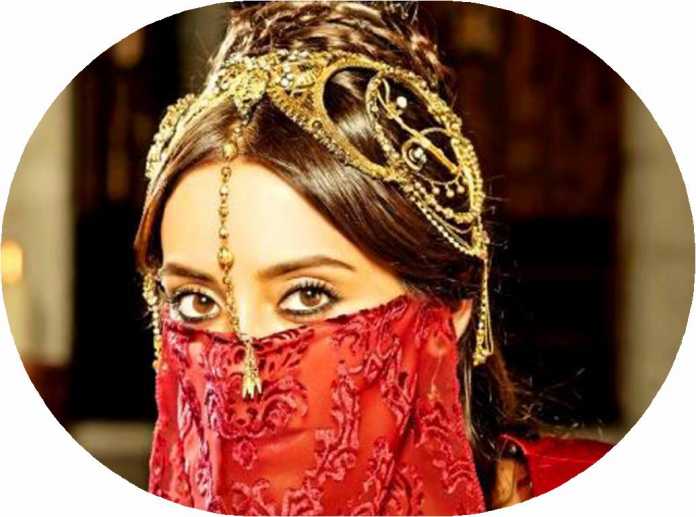 «Usmoniylar tarixi» turkumidan: «Sulton Sulaymon haramidagi asosiy lavozimlar»