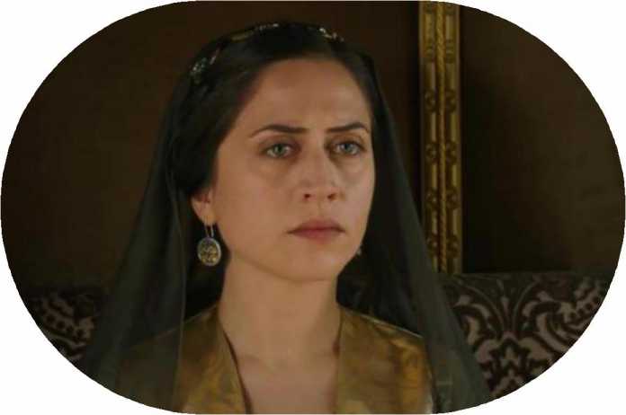 «Usmoniylar tarixi» turkumidan: «Sulton Sulaymon haramidagi asosiy lavozimlar»