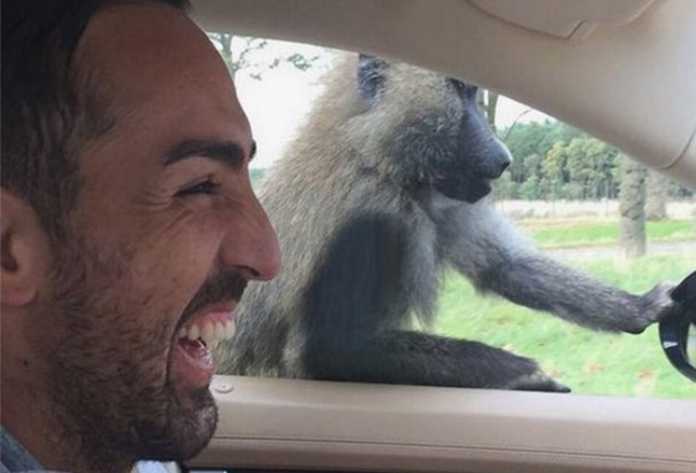 Selfi tushishni qoyillatadigan jonivorlar (Dahshat selfilar!) Selfi tushishni qoyillatadigan jonivorlar (Dahshat selfilar!)