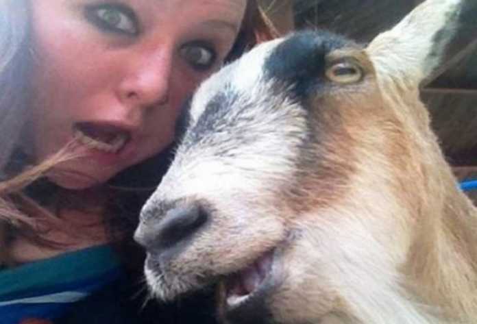 Selfi tushishni qoyillatadigan jonivorlar (Dahshat selfilar!) Selfi tushishni qoyillatadigan jonivorlar (Dahshat selfilar!)