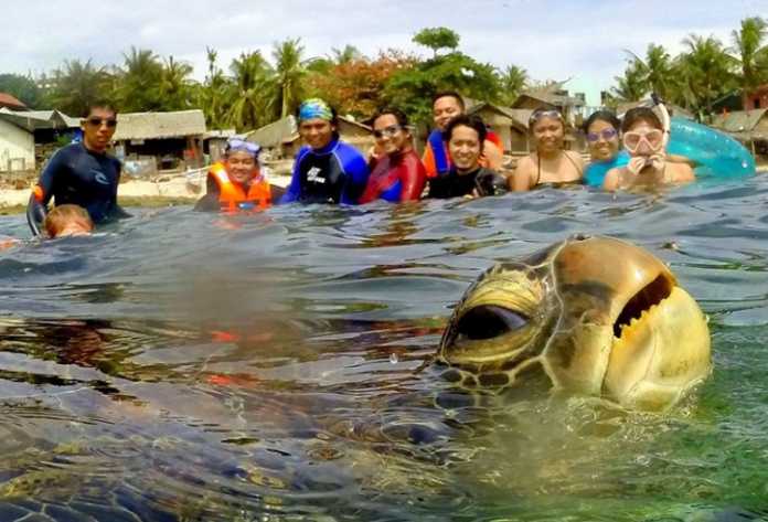 Selfi tushishni qoyillatadigan jonivorlar (Dahshat selfilar!) Selfi tushishni qoyillatadigan jonivorlar (Dahshat selfilar!)