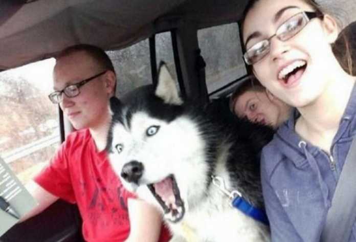 Selfi tushishni qoyillatadigan jonivorlar (Dahshat selfilar!) Selfi tushishni qoyillatadigan jonivorlar (Dahshat selfilar!)