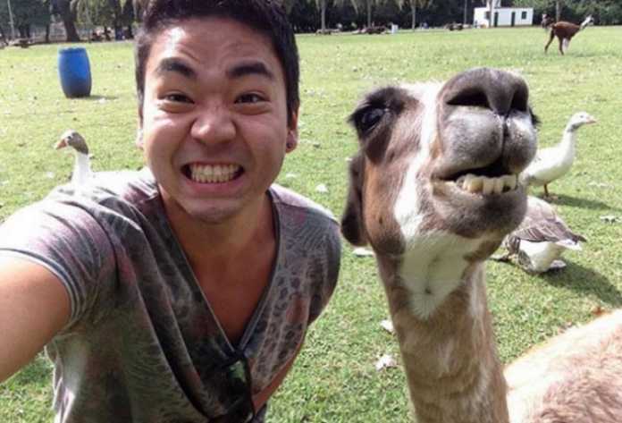 Selfi tushishni qoyillatadigan jonivorlar (Dahshat selfilar!) Selfi tushishni qoyillatadigan jonivorlar (Dahshat selfilar!)