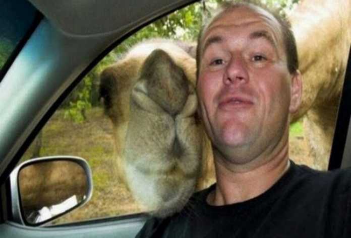 Selfi tushishni qoyillatadigan jonivorlar (Dahshat selfilar!) Selfi tushishni qoyillatadigan jonivorlar (Dahshat selfilar!)