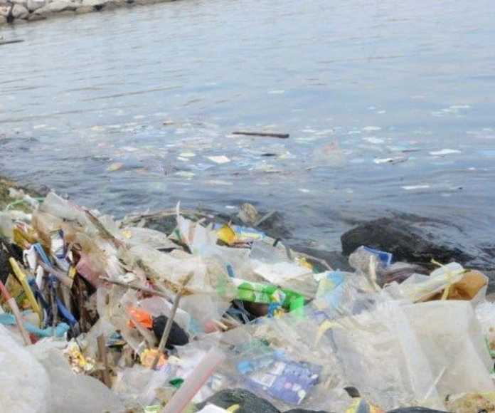 Plastik chiqindilar kashalotlarning umriga ham zomin bo'lmoqda