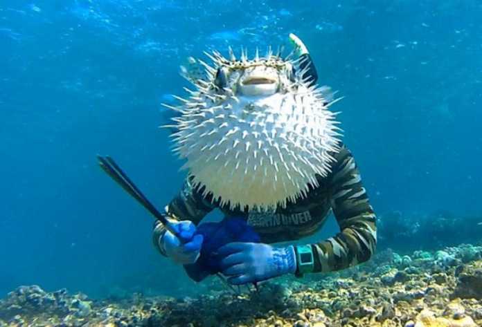 Selfi tushishni qoyillatadigan jonivorlar (Dahshat selfilar!) Selfi tushishni qoyillatadigan jonivorlar (Dahshat selfilar!)