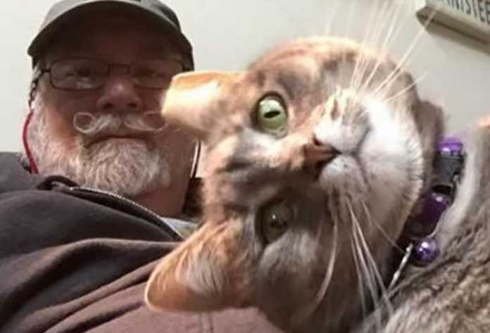 Selfi tushishni qoyillatadigan jonivorlar (Dahshat selfilar!) Selfi tushishni qoyillatadigan jonivorlar (Dahshat selfilar!)