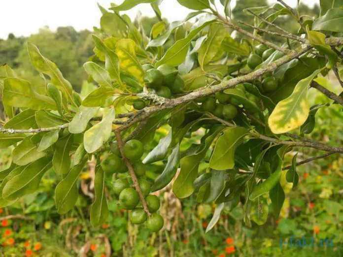 BILASIZMI?.. BILASIZMI?..