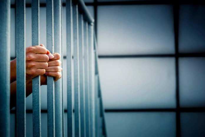 Signalda uyg'onish inson salomatligiga yomon ta'sir qilar ekan Signalda uyg'onish inson salomatligiga yomon ta'sir qilar ekan