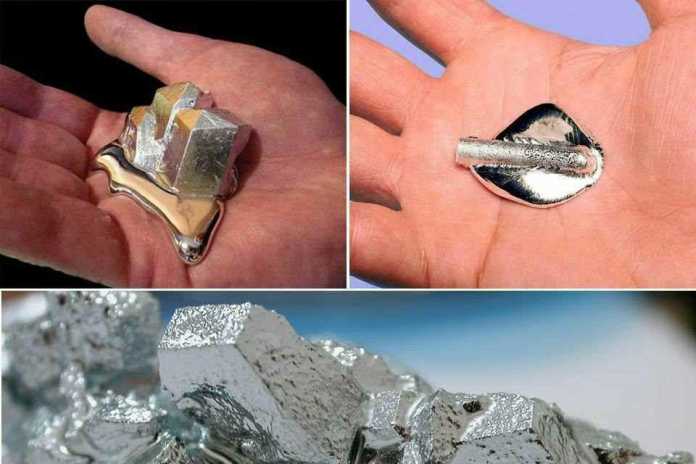 Ishtaha ochuvchi mahsulotlar