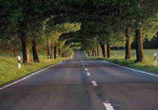 AQSh da askarlar mashqlarda o'zini otib o'ldiradimi? AQSh da askarlar mashqlarda o'zini otib o'ldiradimi?