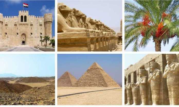 Anor sharbatini muntazam ravishda iste'mol qilish yurak kasalliklarining oldini oladi Anor sharbatini muntazam ravishda iste'mol qilish yurak kasalliklarining oldini oladi