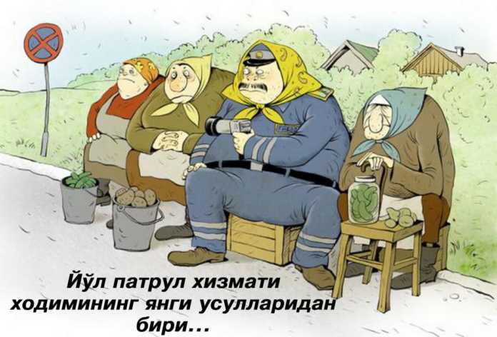 KULGI ChOYXONASI…