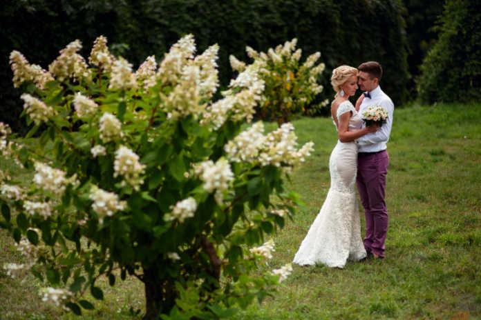 Nikoh to'yi uchun yilning eng yaxshi faslini tanlaymiz! Nikoh to'yi uchun yilning eng yaxshi faslini tanlaymiz!