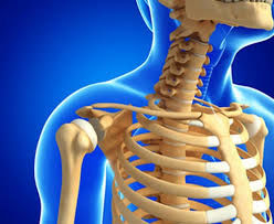 Ajoyib va eng qiziqarli faktlar