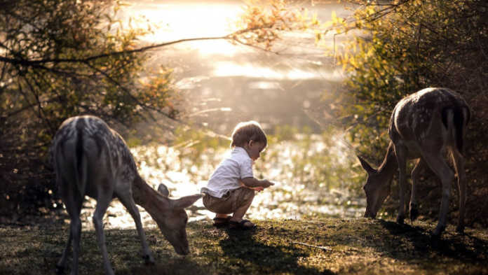 Bolalardagi yolg'izlik daholikdan darakmi? Bolalardagi yolg'izlik daholikdan darakmi?