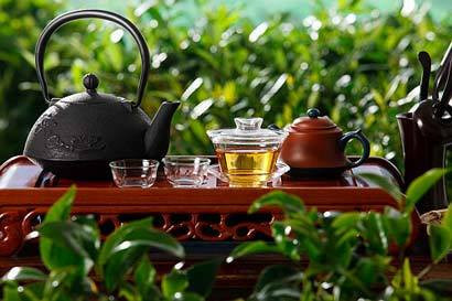 Fe'l-atvordan so'zlovchi ichimliklar Fe'l-atvordan so'zlovchi ichimliklar