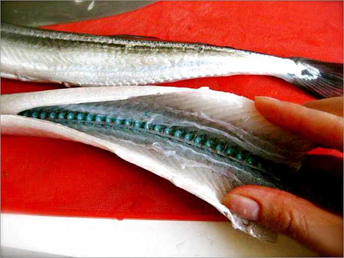 XOH IShONING, XOH IShONMANG… (FOTO)