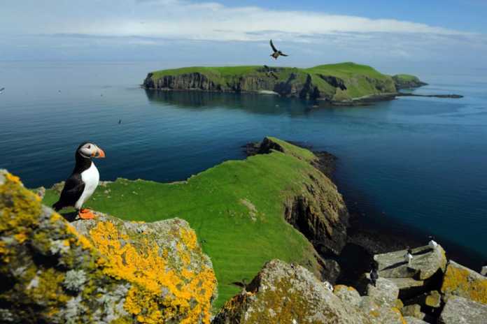 XOH IShONING, XOH IShONMANG… (FOTO)