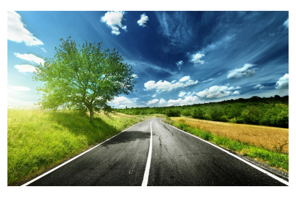 Ajoyib va eng qiziqarli faktlar