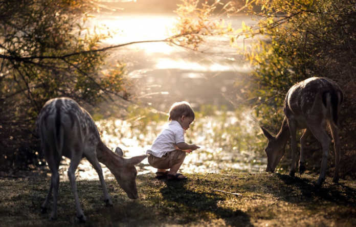 Bolalardagi yolg'izlik daholikdan darakmi? Bolalardagi yolg'izlik daholikdan darakmi?