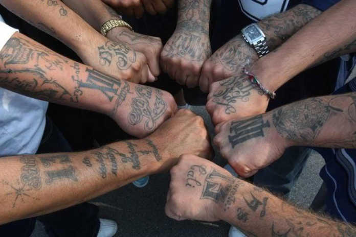 Mafiya – dunyoning taniqli va qo'rqinchli jinoiy guruhlari Mafiya – dunyoning taniqli va qo'rqinchli jinoiy guruhlari