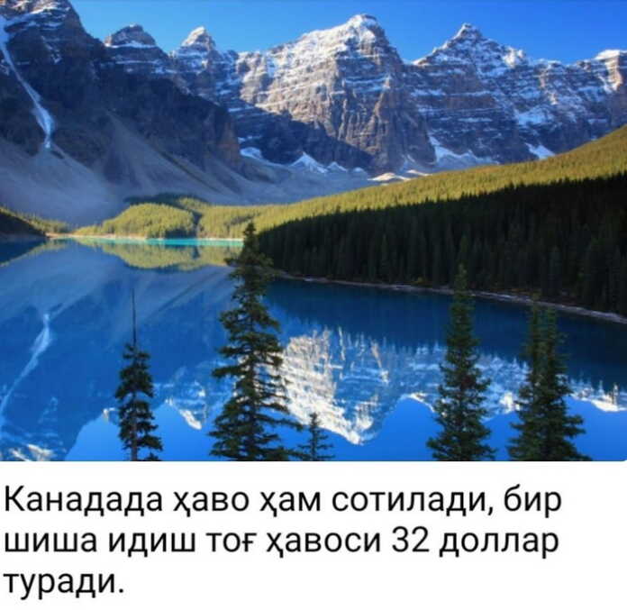 «Ketdim Kanadaga! Havo sotib boy bo'lishga!..»