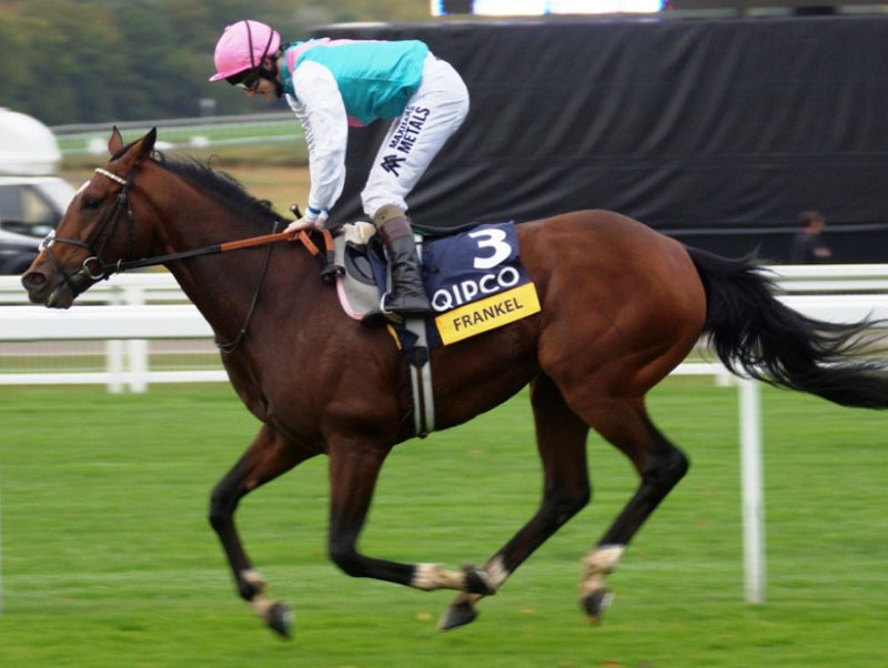 130 mln dollarlik ot borligiga ishonasizmi? Dunyoning eng qimmat 7 tulpori