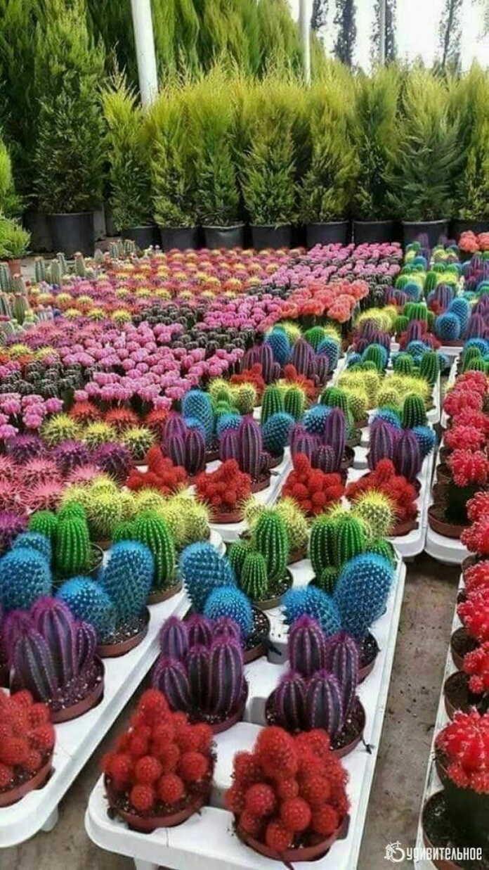 2020 yildan keyingi maqollar… 2020 yildan keyingi maqollar…