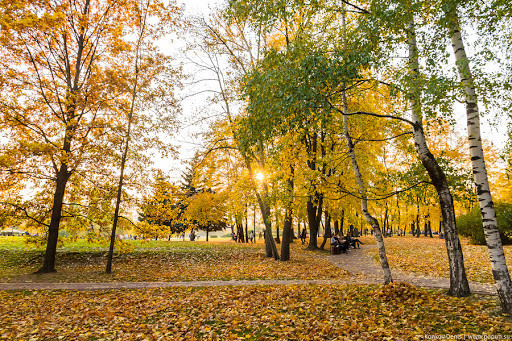 Kuz fasli haqidagi qiziqarli faktlar Kuz fasli haqidagi qiziqarli faktlar