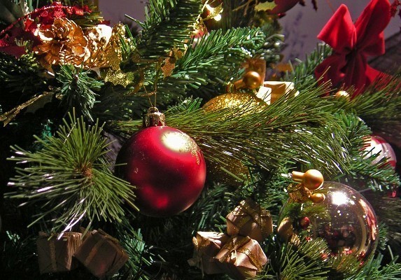 Yangi yil archasi tanlaymiz: tabiiy turi yaxshimi yoki sun'iy? Yangi yil archasi tanlaymiz: tabiiy turi yaxshimi yoki sun'iy?