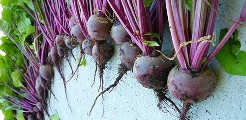 Go’zal va sog’lom bo’lishda qo’l keluvchi maslaxatlar