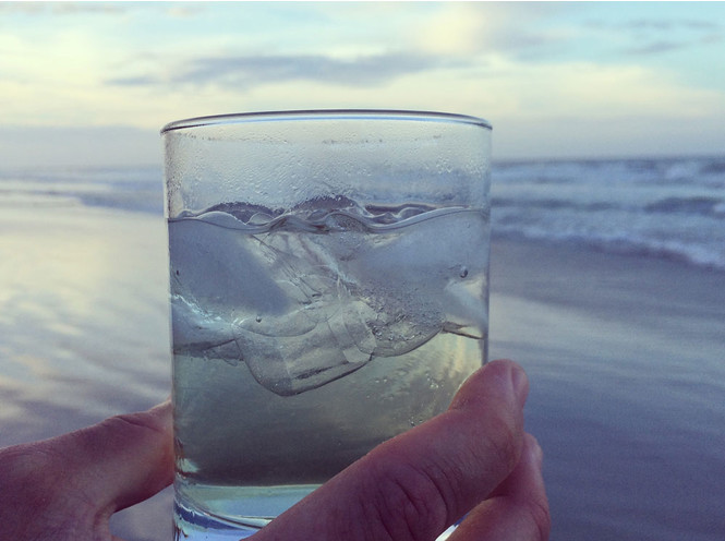 Nima uchun kun davomida suv ichishni unutib qoʻyamiz?