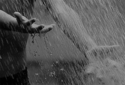 Yomg‘ir haqida qiziqarli ma’lumotlar, faktlar va kerakli qoidalar Yomg‘ir haqida qiziqarli ma’lumotlar, faktlar va kerakli qoidalar