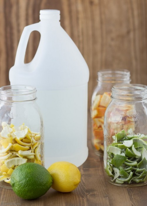 Oddiygina sitrus mevalar po‘stlog‘ini ro‘zg‘or uchun kerakli vositaga aylantirish sirlari