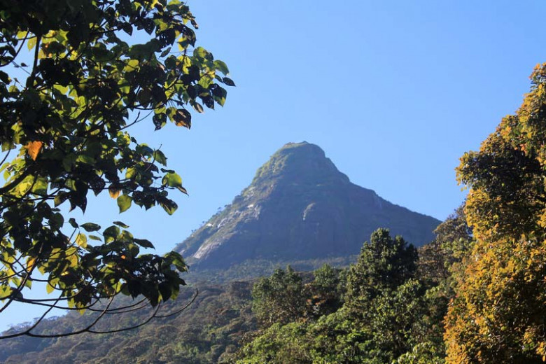 Shri-Lanka: diqqatga sazovor joylar va ular haqidagi qiziqarli ma’lumotlar Shri-Lanka: diqqatga sazovor joylar va ular haqidagi qiziqarli ma’lumotlar