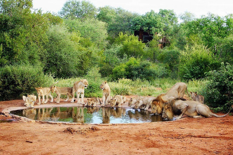 JAR: ko’pchilikka ma’lum va noma’lum Afrika JAR: ko’pchilikka ma’lum va noma’lum Afrika