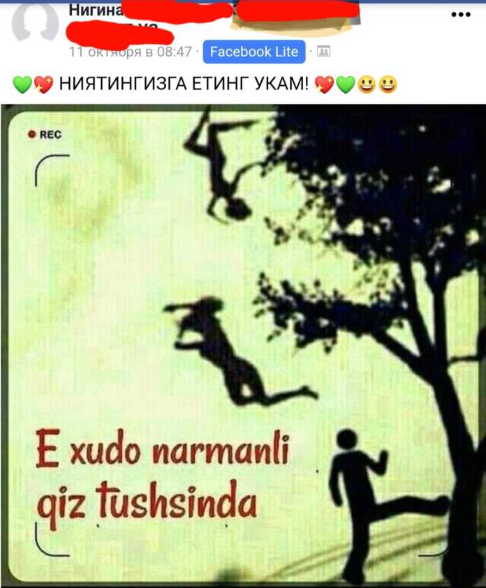 “Daraxtni tepsa, qiz yog'iladimi?..” Osmonga qarab, yaxshi qiz tushishini kutayotgan yigit (foto)