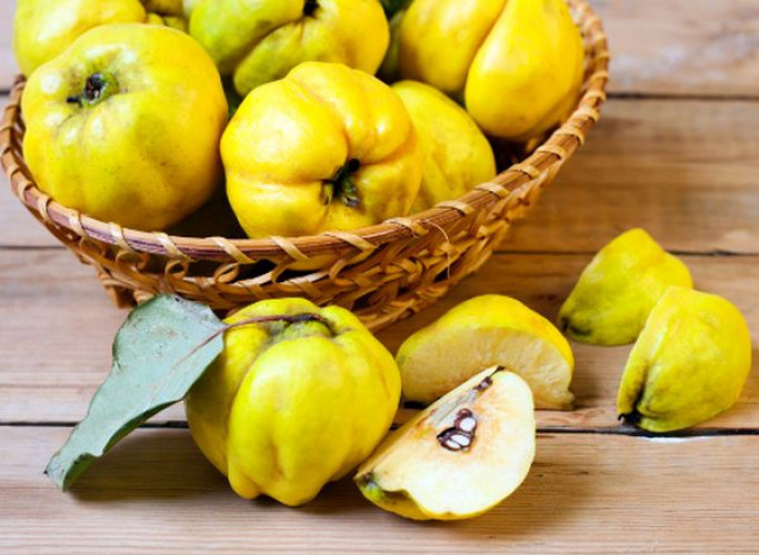 Qaysi mahsulotda qanday vitamin mavjud? Qaysi mahsulotda qanday vitamin mavjud?