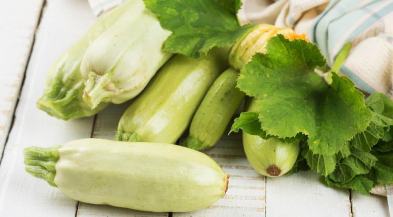 Qovoqcha (kabachok)ning ko’pchilikka no’malum foydali jihatlari Qovoqcha (kabachok)ning ko’pchilikka no’malum foydali jihatlari