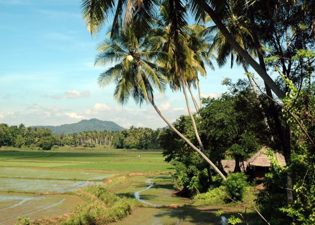 Shri-Lanka: diqqatga sazovor joylar va ular haqidagi qiziqarli ma’lumotlar Shri-Lanka: diqqatga sazovor joylar va ular haqidagi qiziqarli ma’lumotlar