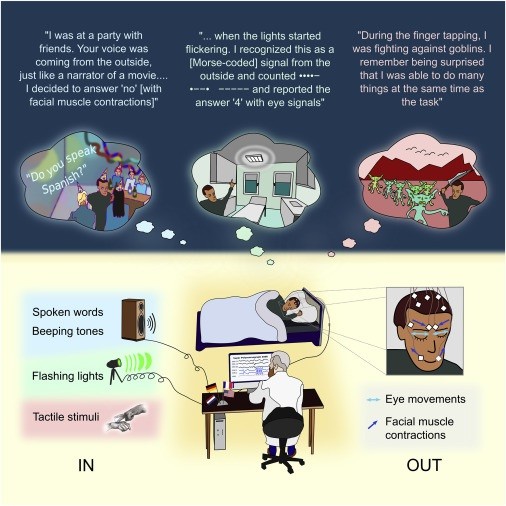 Olimlar uxlayotgan inson bilan muloqot qilishni o'rganib oldi Olimlar uxlayotgan inson bilan muloqot qilishni o'rganib oldi