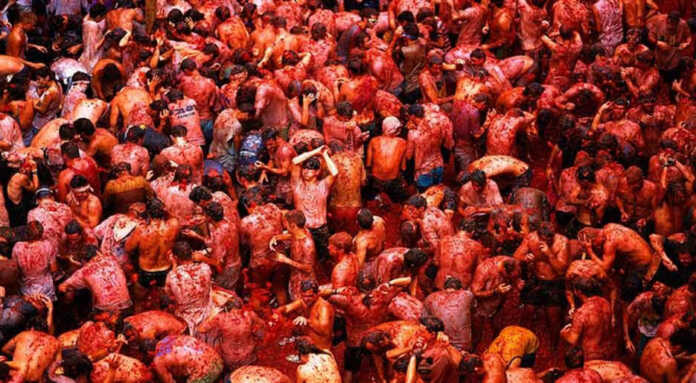 Pomidor uloqtirish festivali Pomidor uloqtirish festivali