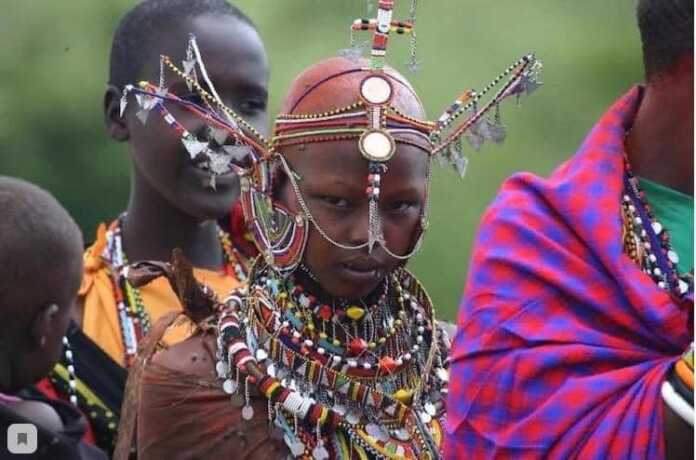 To'yi kuni sochi qirib tashlanadigan kelinlar To'yi kuni sochi qirib tashlanadigan kelinlar