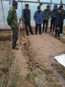 Namanganda noma'lum mavjudotning skeleti topildi