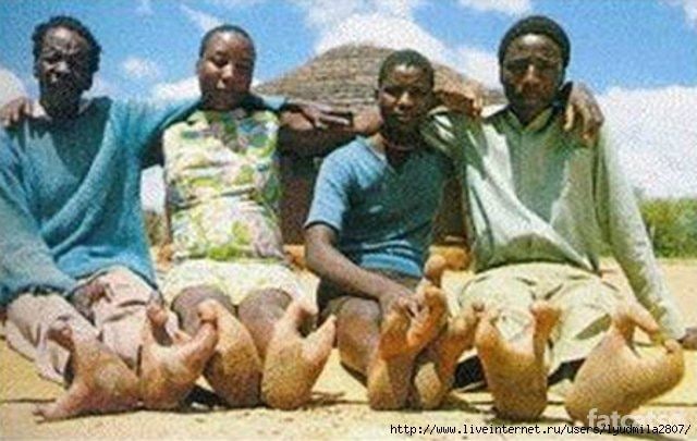 Tuyaqushsimon insonlar yoki ikki barmoqli odamlar qabilasi haqida Tuyaqushsimon insonlar yoki ikki barmoqli odamlar qabilasi haqida