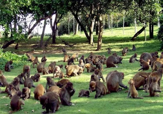 Sizning pulingiz yetmaydi