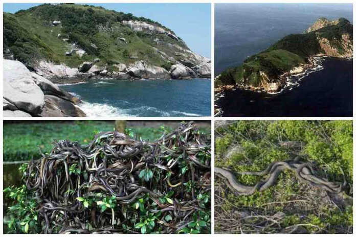 Sizning pulingiz yetmaydi