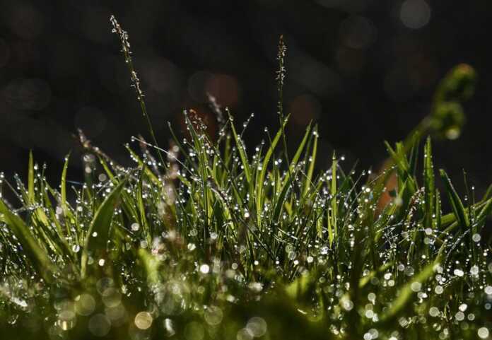 Benzin, tuproq, xlor isi: Nima uchun biz «g'alati» hidlarni yaxshi ko'ramiz? Benzin, tuproq, xlor isi: Nima uchun biz «g'alati» hidlarni yaxshi ko'ramiz?